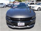 Thumbnail Photo 2 for 2017 Dodge Charger